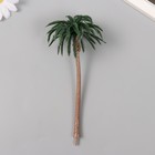 Декор для создания миниатюр (деревья) "Гавайская пальма" 17 см - фото 321429002