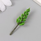 Декор для создания миниатюр (деревья) "Сибирская пихта" 4 см (комплект 10 шт) - фото 23914693