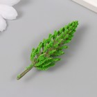 Декор для создания миниатюр (деревья) "Сибирская пихта" 6 см 10265719