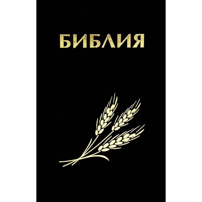 Каноническая библия в кожаном переплете. Книги священного писания ветхого и нового завета. Библия с параллельными местами. Иллюстрированная библия ветхий завет. Библия раритет.