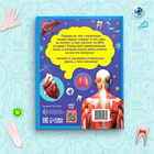 Энциклопедия в твёрдом переплёте «200 фактов о теле человека», 48 стр. - Фото 5