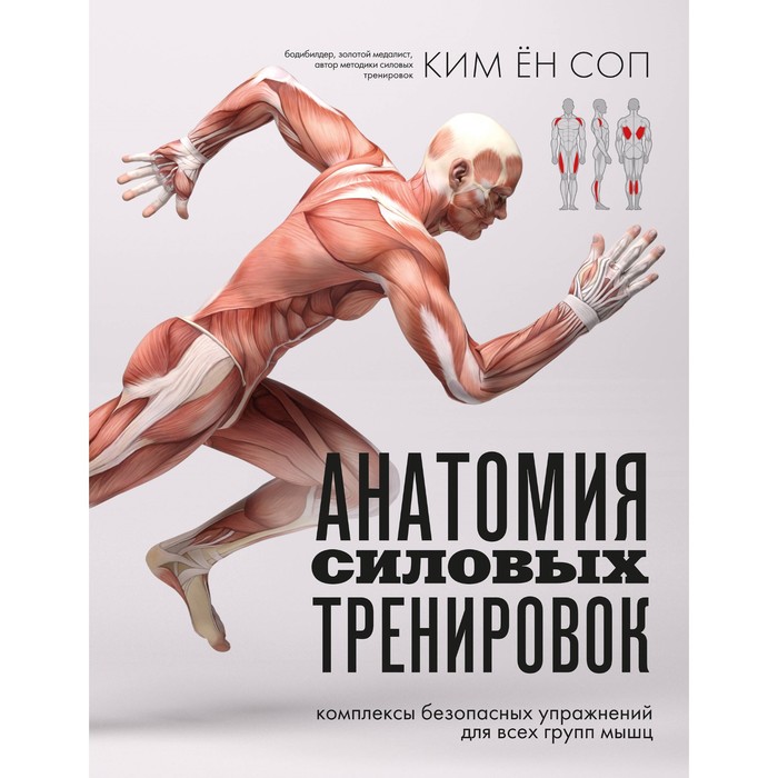 Анатомия силовых тренировок - Фото 1