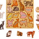 Рамки-вкладыши "Породы кошек" - фото 10041276