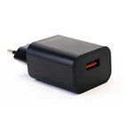 Сетевое зарядное устройство ERGOLUX ELX-РA01P-C02, 1 USB, 2A, пакет, черное - Фото 2