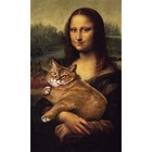 Картина по номерам панно «Кот на руках», 30 х 50 см - Фото 2