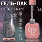 Гель лак для ногтей кошачий глаз, трехфазный, 10 мл, LED/UV, серебристый (38) - Фото 1