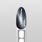 Гель лак для ногтей «CAT`S EYE GENTLE», 3-х фазный, 10 мл, LED/UV, цвет (55) - Фото 11