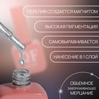 Гель лак для ногтей, кошачий глаз, трехфазный, 10 мл, LED/UV, серебристый (59) - Фото 2