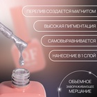Гель лак для ногтей, кошачий глаз, трехфазный, 10 мл, LED/UV, серебристый (60) - Фото 2