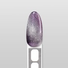 Гель лак для ногтей «CAT`S EYE PEARL», 3-х фазный, 10 мл, LED/UV, цвет (60) - Фото 11