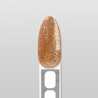 Гель лак для ногтей «COLOR CHROME», 3-х фазный, 10 мл, LED/UV, цвет (66) - Фото 11