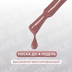 Гель лак для ногтей, однотонный, трехфазный, 10 мл, LED/UV, коричневый (117) - Фото 2