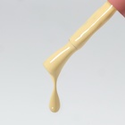 Гель лак для ногтей «SIMPLE», 3-х фазный, 10 мл, LED/UV, цвет (213) - Фото 6