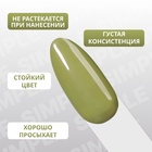 Гель лак для ногтей, однотонный, трехфазный, 10 мл, LED/UV, зелёный (219) - Фото 4