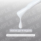 Гель лак для ногтей, однотонный, трехфазный, 10 мл, LED/UV, серый (243) - Фото 2