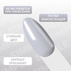 Гель лак для ногтей, однотонный, трехфазный, 10 мл, LED/UV, серый (250) - Фото 4