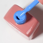 Гель лак для ногтей «SIMPLE», 3-х фазный, 10 мл, LED/UV, цвет (256) - Фото 11