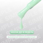 Гель лак для ногтей «SIMPLE», 3-х фазный, 10 мл, LED/UV, цвет (282) - Фото 2