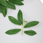 Искусственное растение для творчества "Листья черёмухи" набор 6 шт 13,5х16 см - фото 321488881