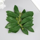 Искусственное растение для творчества "Листья черёмухи" набор 6 шт 13,5х16 см - Фото 4