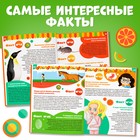 Энциклопедия в твёрдом переплёте «100 фактов о мире вокруг», 48 стр., Чебурашка - Фото 3
