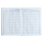 Классный журнал для 1-11 классов А4, 96 листов, твёрдая обложка, белый блок - Фото 13