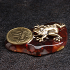 Сувенир "Лягушка с монетой 10 коп", латунь, янтарь - фото 321429384
