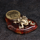Сувенир "Лягушка с монетой 10 коп", латунь, янтарь, 2,5х4,5х1,5 см - фото 23963812