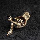 Сувенир "Лягушка сытая", латунь, янтарь - Фото 4