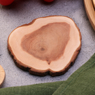 Подставка под кружку, цельная, срез, 8-10 см, можжевельник - Фото 2