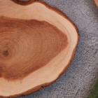 Подставка под кружку, цельная, срез, 8-10 см, можжевельник - Фото 3