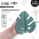 Прорезыватель силиконовый M&B «Тропики», от 3 мес., зеленый - Фото 1