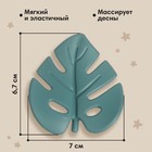 Прорезыватель силиконовый M&B «Тропики», от 3 мес., зеленый - Фото 4