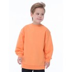 Толстовка для мальчиков, рост 86 см, цвет оранжевый - фото 299604800