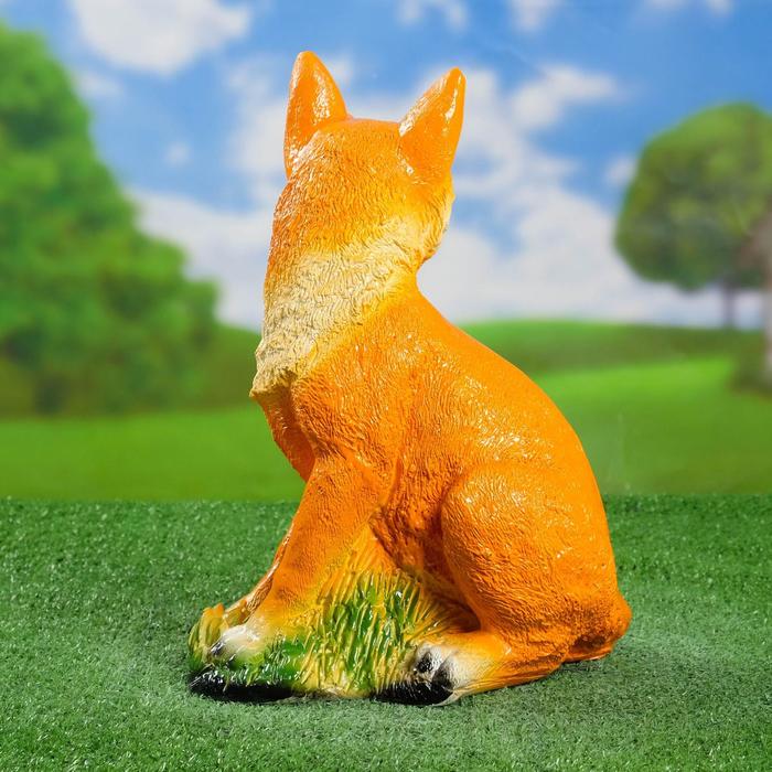 Fox 19
