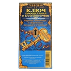 Ключ "Процветания и благополучия" - Фото 4