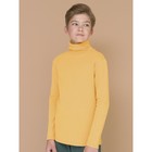 Джемпер для мальчиков, рост 122 см, цвет жёлтый - фото 110045597