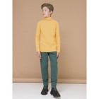 Джемпер для мальчиков, рост 122 см, цвет жёлтый - Фото 4