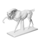 Гипсовая фигура анатомическая: ЛОШАДЬ (конь анатомический), 21 х 59 х 43 см - фото 9742998
