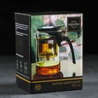 УЦЕНКА Чайник стеклянный заварочный Magistro «Бенито», 500 мл - Фото 11