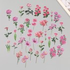 Наклейки пластик "Весенние цветы. Розовые" набор 40 шт 15х8 см - фото 12253559