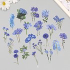 Наклейки пластик "Весенние цветы. Голубые" набор 40 шт 15х8 см - фото 12253564
