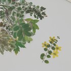 Наклейки пластик "Летние зеленые листья" набор 40 шт 15х8 см - фото 23922033