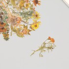 Наклейки пластик "Осенние цветы. Желтые" набор 40 шт 15х8 см - Фото 3