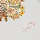 Наклейки пластик "Осенние цветы. Желтые" набор 40 шт 15х8 см - Фото 4