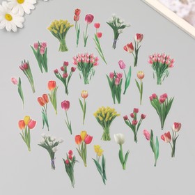 Наклейки пластик "Весенние цветы. Тюльпаны" набор 40 шт 15х8 см