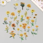 Наклейки пластик "Летние цветы. Желтые" набор 40 шт 15х8 см - фото 321491446