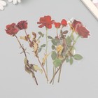 Наклейки пластик "Цветы и цитаты. Красные розы" набор 12 шт 8,5х21,5х0,2 см - Фото 1