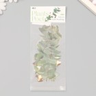 Наклейки пластик "Листья и цитаты. Зеленые" набор 12 шт 8,5х21,5х0,2 см - Фото 4
