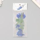 Наклейки пластик "Цветы и цитаты. Голубые" набор 12 шт 8,5х21,5х0,2 см - Фото 4